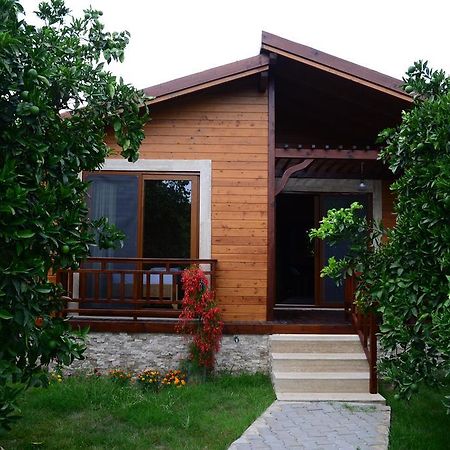 Villa Bilge Çıralı Δωμάτιο φωτογραφία