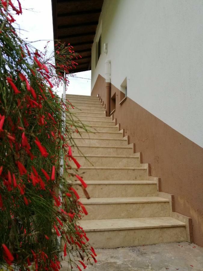 Villa Bilge Çıralı Εξωτερικό φωτογραφία