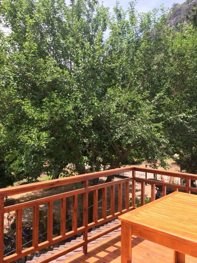 Villa Bilge Çıralı Εξωτερικό φωτογραφία
