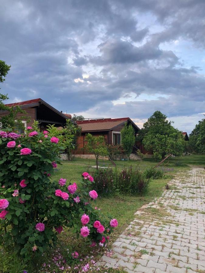 Villa Bilge Çıralı Εξωτερικό φωτογραφία