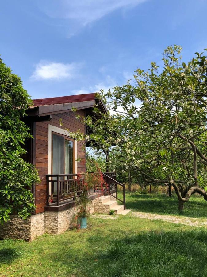 Villa Bilge Çıralı Εξωτερικό φωτογραφία