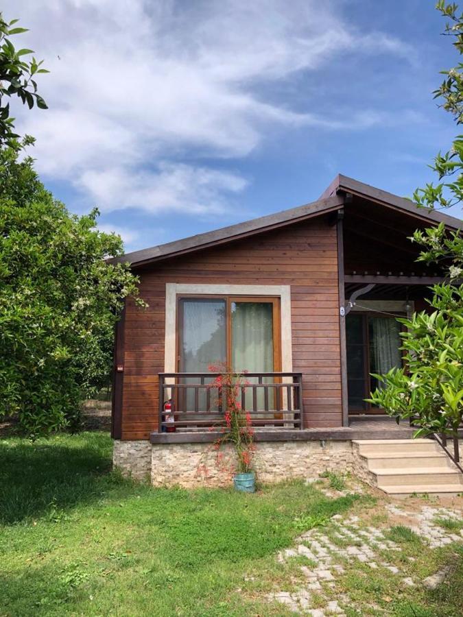 Villa Bilge Çıralı Εξωτερικό φωτογραφία